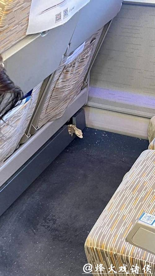 “那一瞬间心跳都快停了！”女子坐高铁，座椅下突然钻出一只活蜥蜴！回应来了